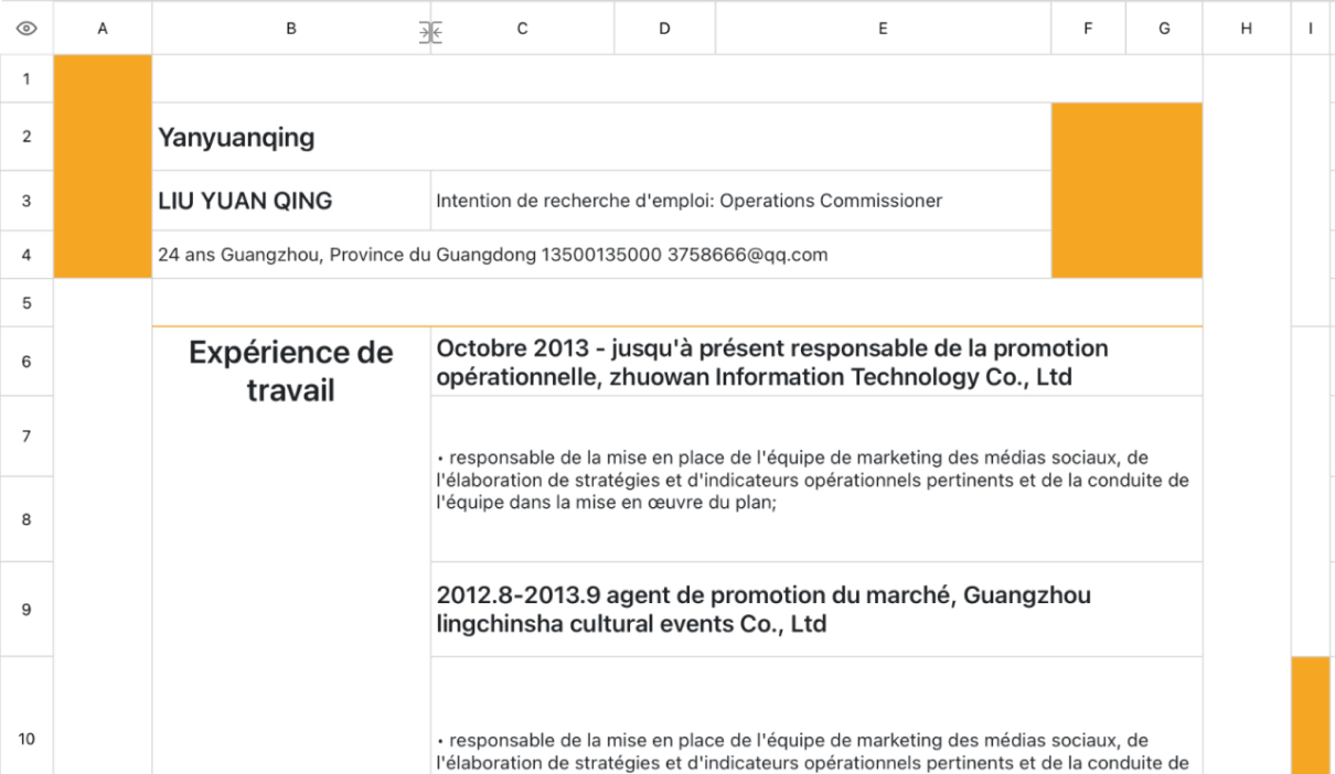CV commun du personnel opérationnel